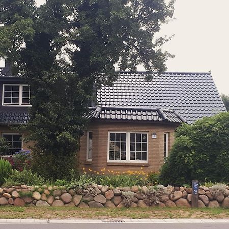 Ferienwohnung Hinz - Gemuetliche Unterkunft Fuer 2 Personen Mit Modernem Bad Ellingstedt Eksteriør billede
